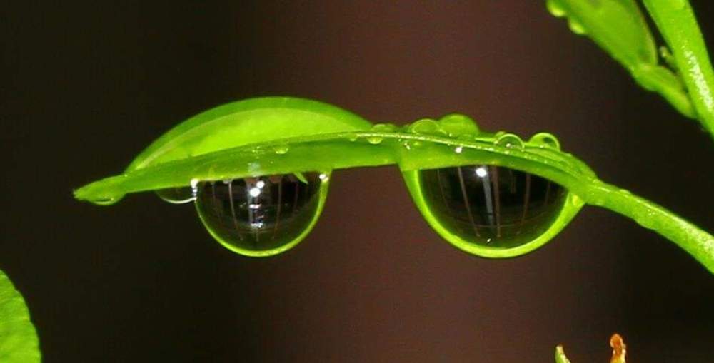 Photograph by Bee Lean SIN