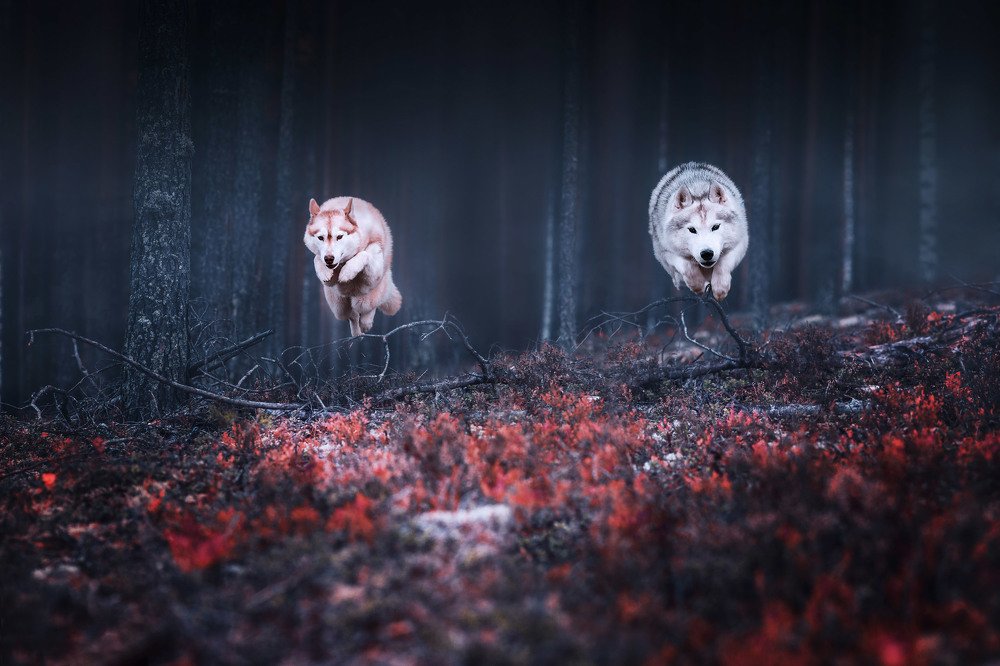 Видим цель!!!