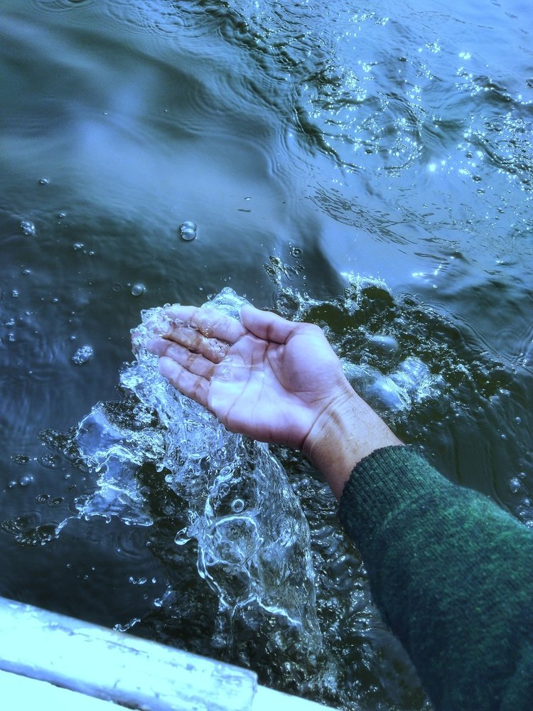 Photograph by Sachin Chaurasiya