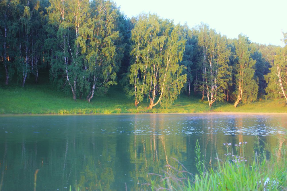 Фотография автора Александр Хохряков