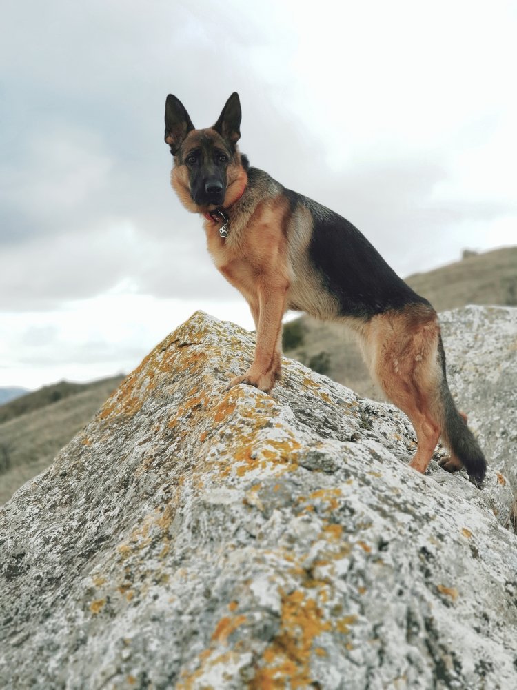 Photograph by Дмитрий Бородин