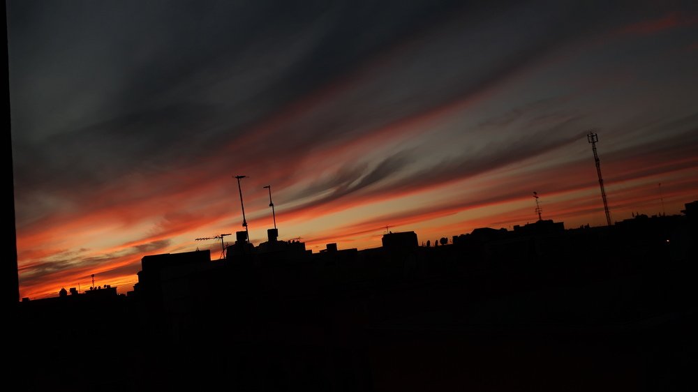 Photo #4364731