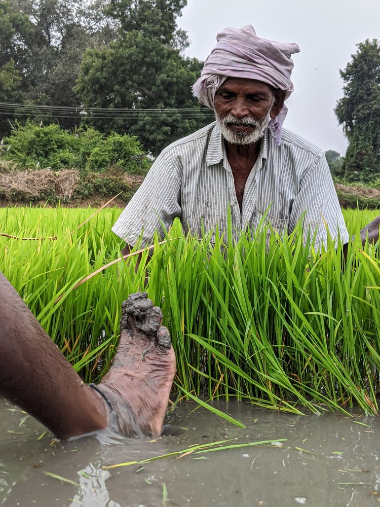 Photograph by  Pratheepraj Venkatesan