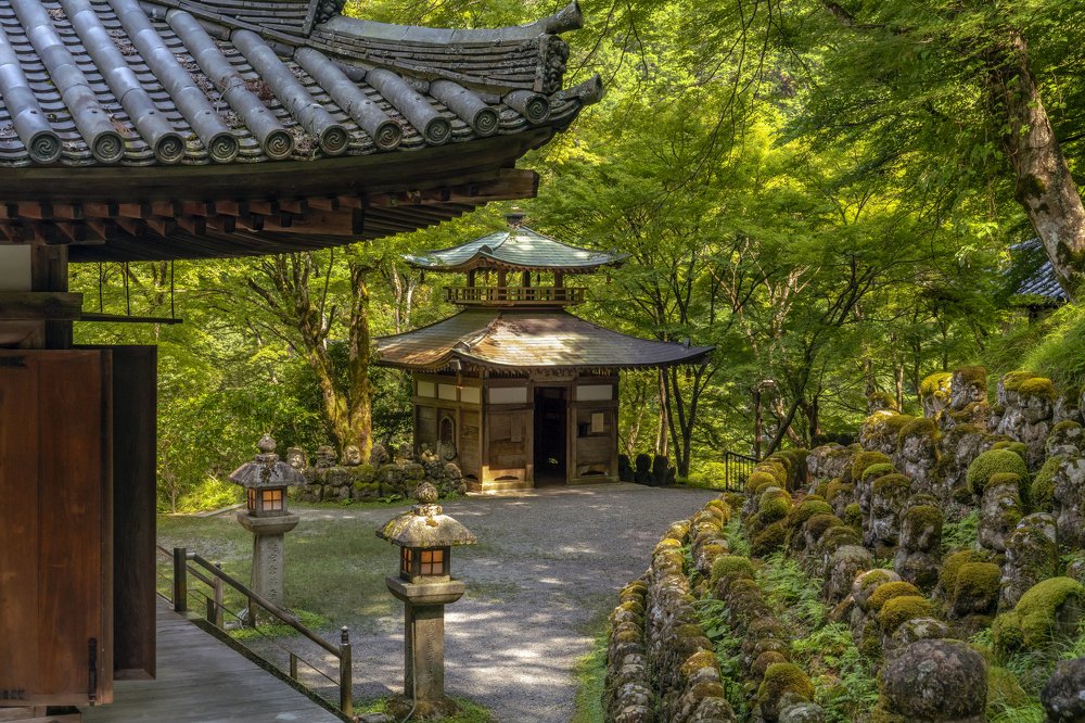 Photograph by Ula Ulachka