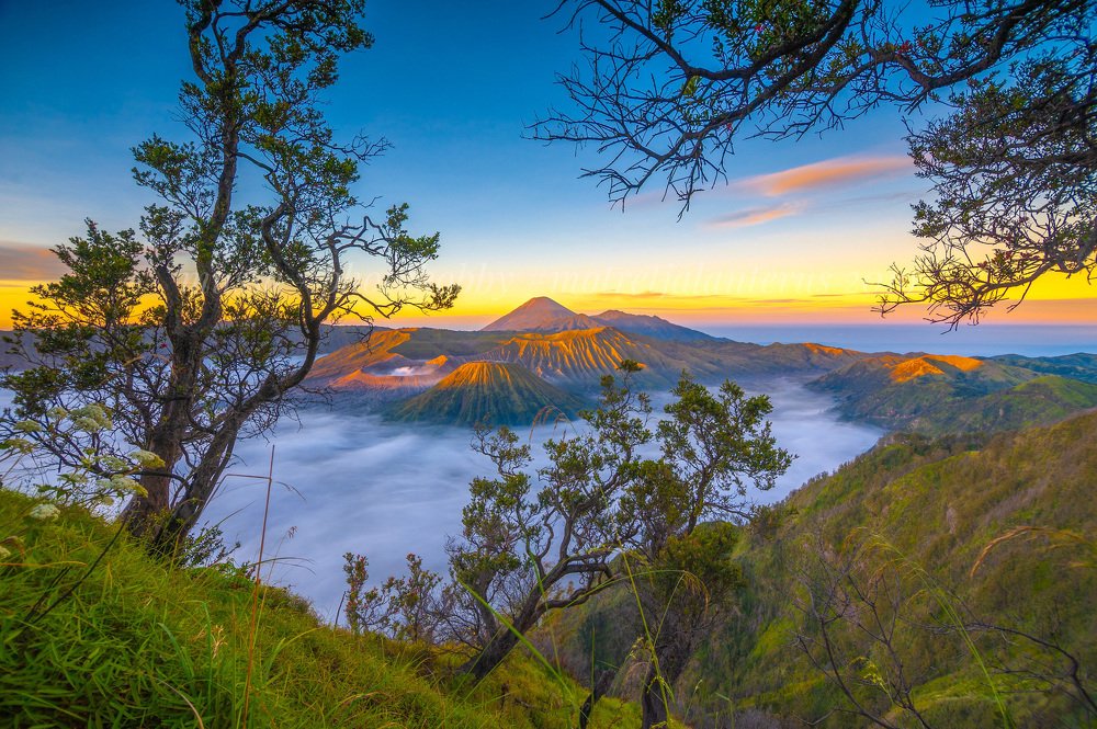 Photograph by Mussa Bahtiar