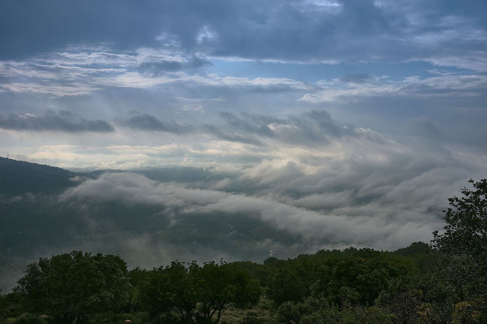 Photograph by Alexander Leshinsky