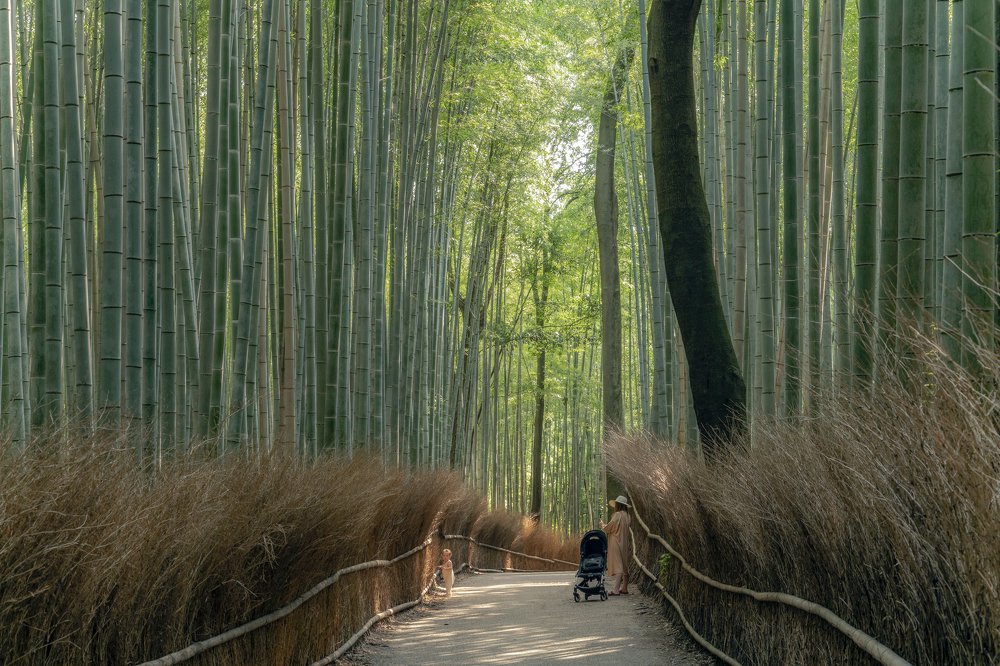 Photograph by Ula Ulachka