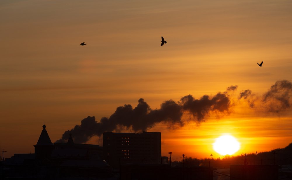 Photograph by Ольга Мурашева