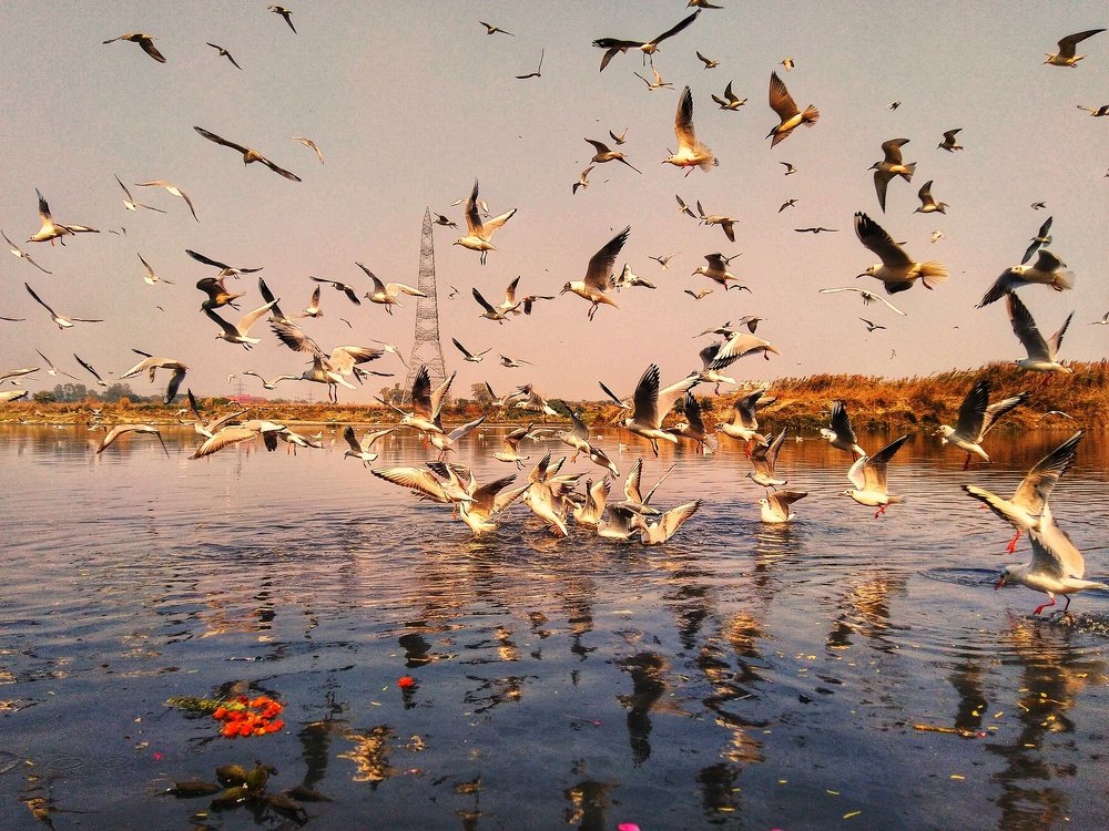 Photograph by Sachin Chaurasiya