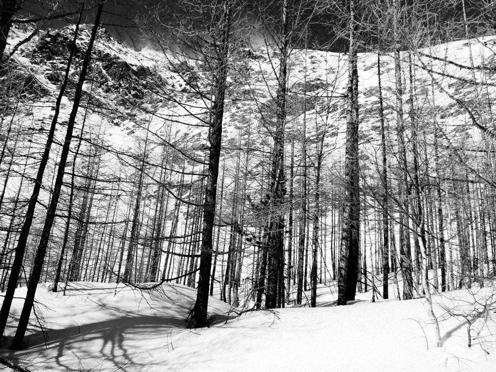 Photograph by Sandra Pinedo