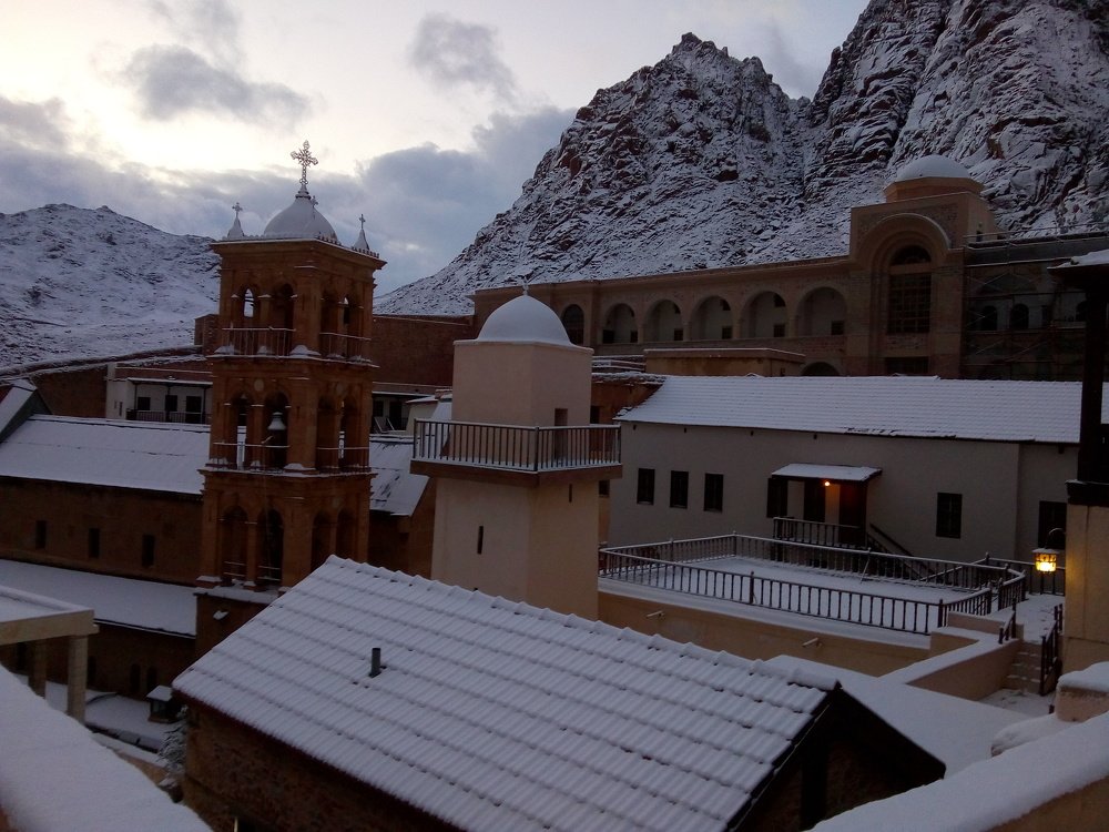 Photograph by Mahmoud Othman