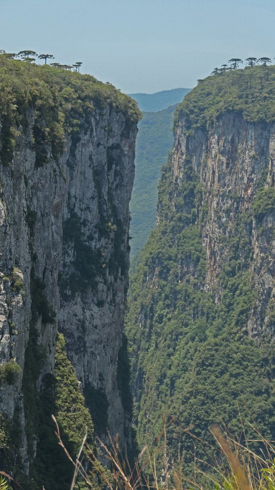 Photograph by Berenice Goelzer