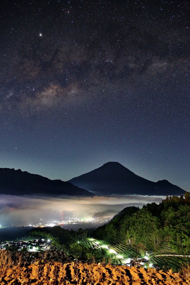 Фотография автора Mark Levitin