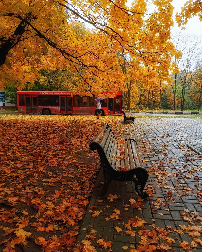 дождливый октябрь.