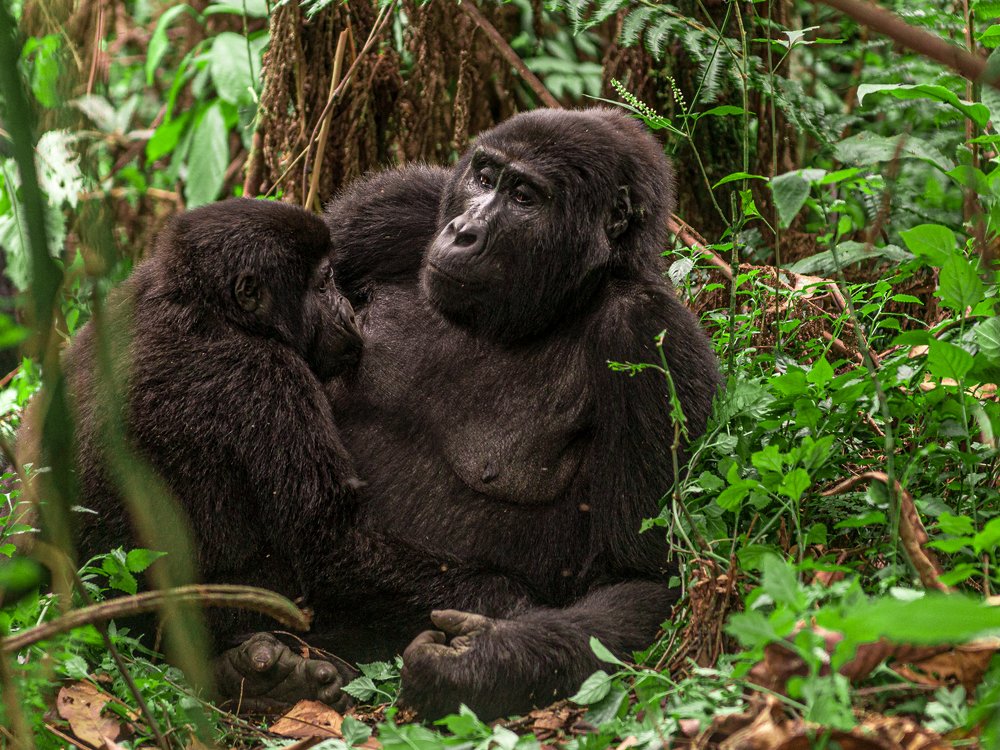 Photograph by Ricardo Núñez Montero