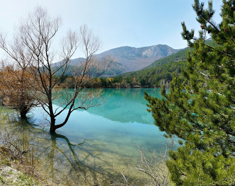 Photograph by Ирина Подушкина