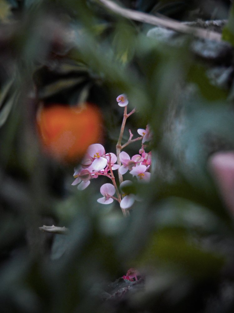 Photograph by Marvin Daniel Marroquin Najera