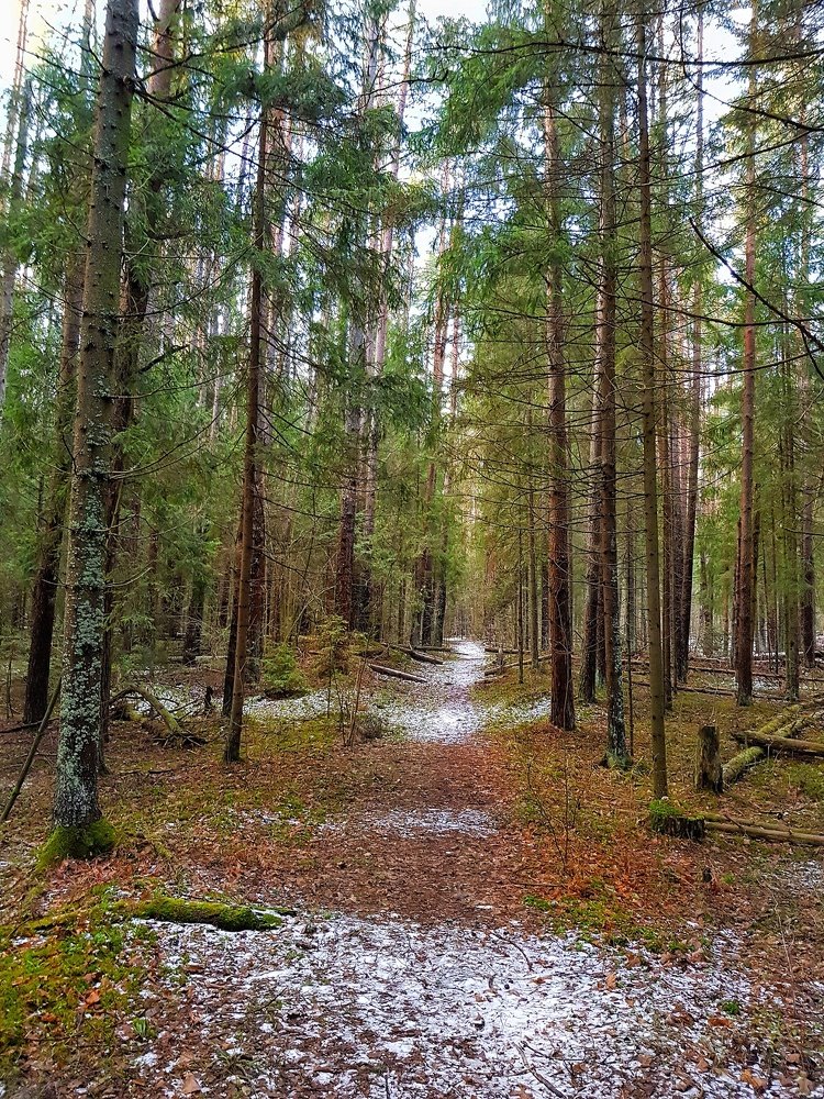 Photograph by Марина Колумб