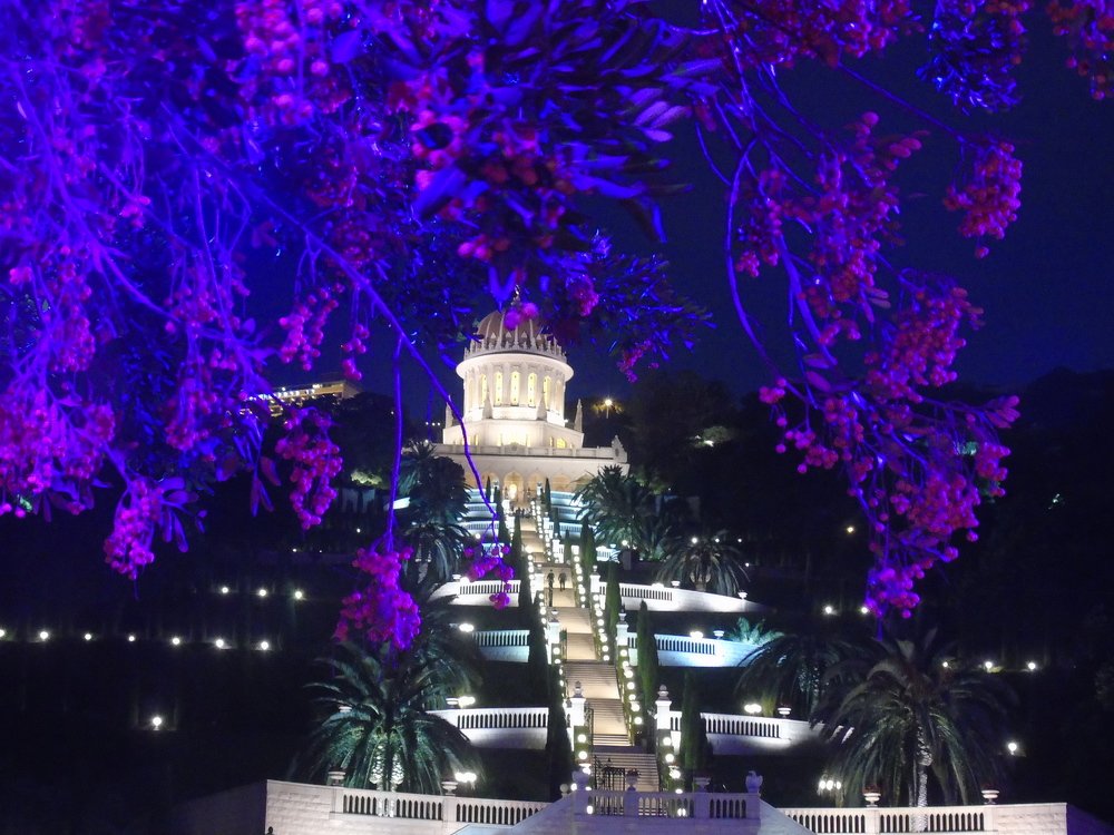 Photograph by SVITLANA