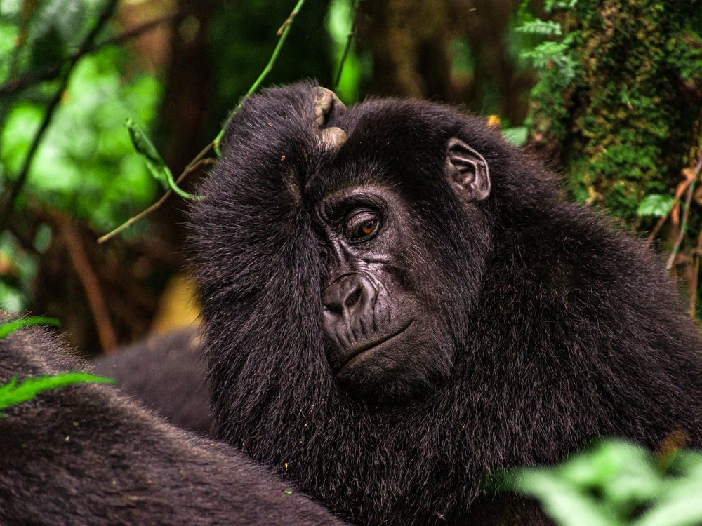 Photograph by Ricardo Núñez Montero