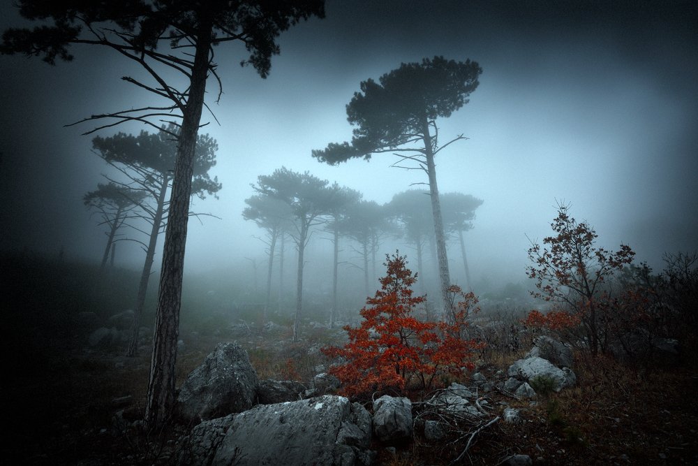 настроение