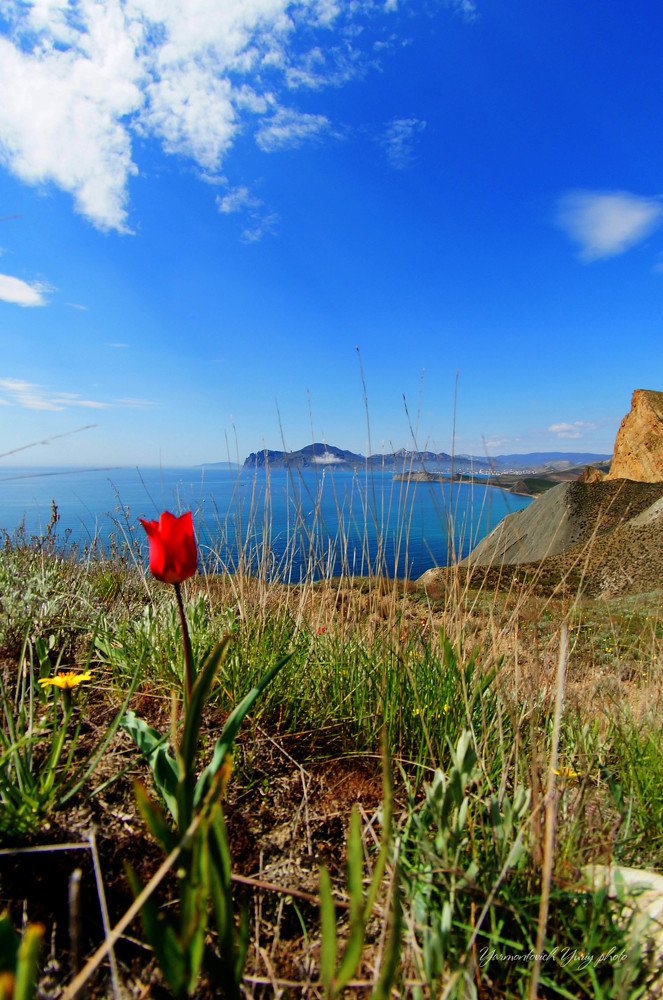 Photograph by Юрий Ярмонтович