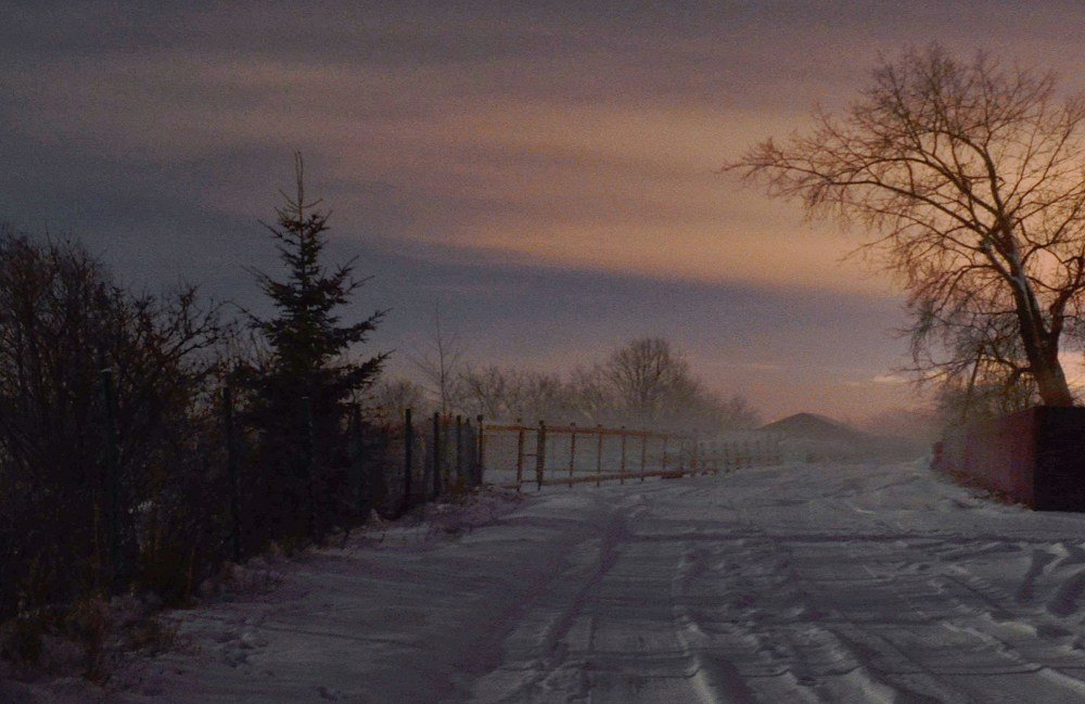 Photograph by Соколова Елена