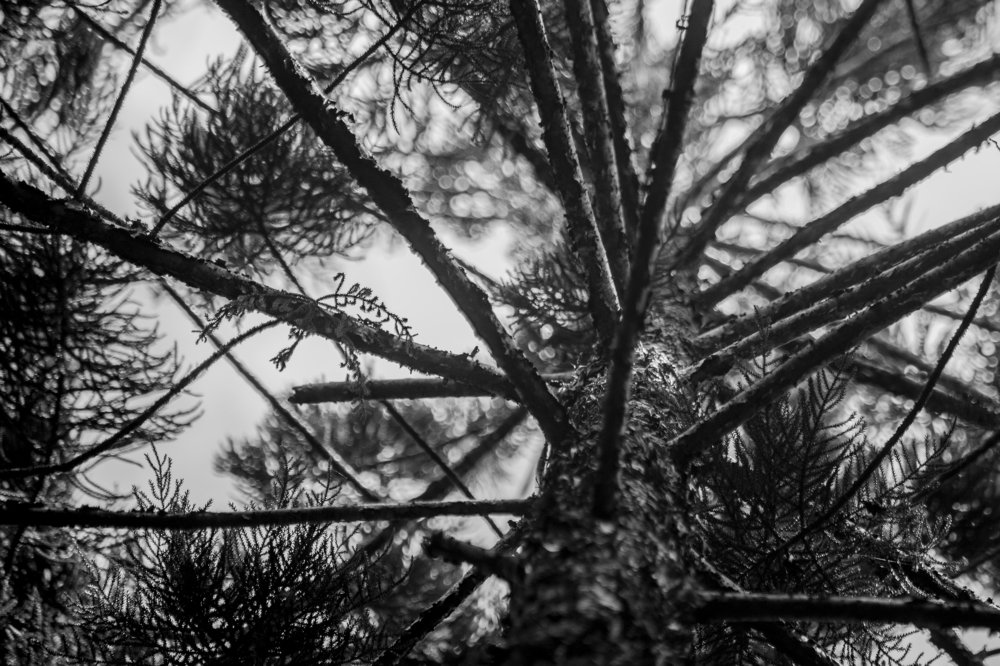 Photograph by Sohen d photography