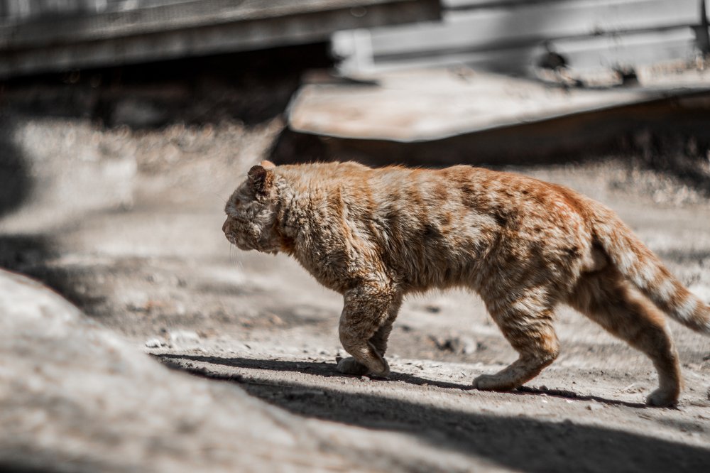 Photograph by Павел Милкин