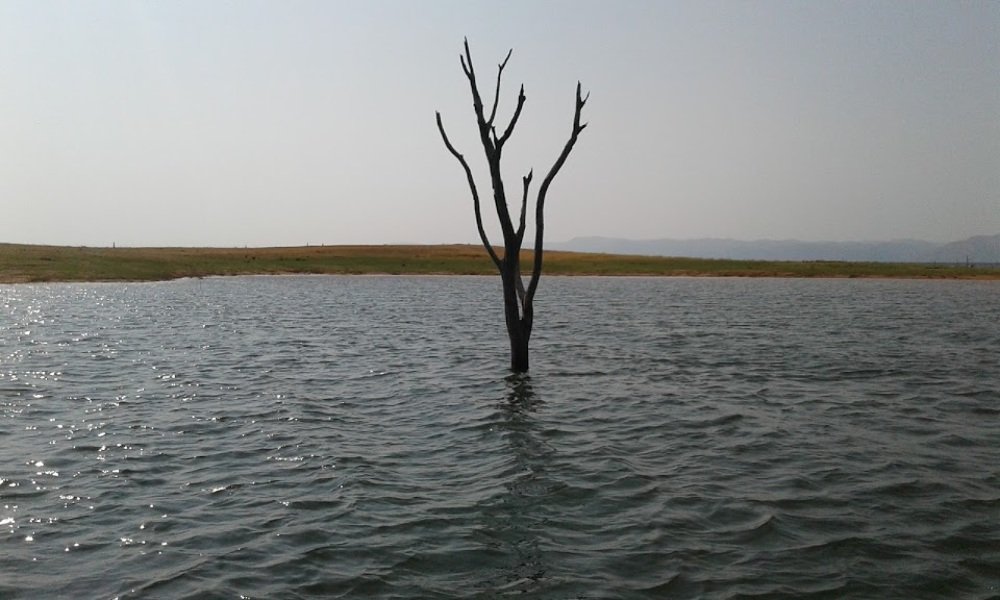 Photograph by Patson Chifumbe