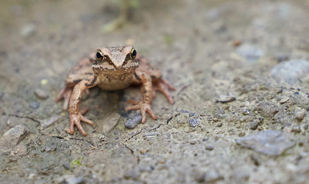 Photograph by Kamil Puobiš