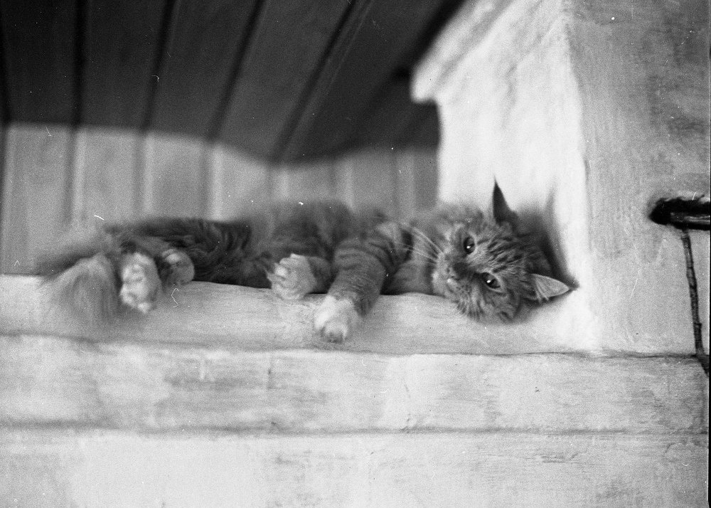 Фотография автора Илья Глобин