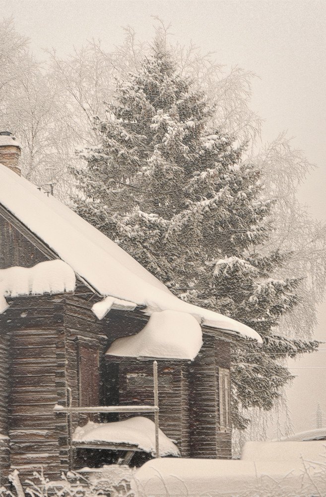 Photograph by Соколова Елена