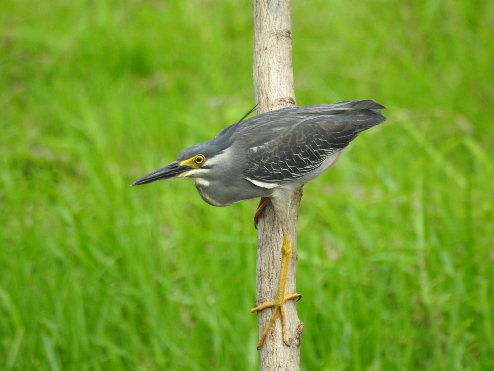 Photograph by Ines Wasi