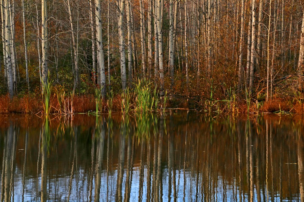 Photograph by Наталья Борюшкина