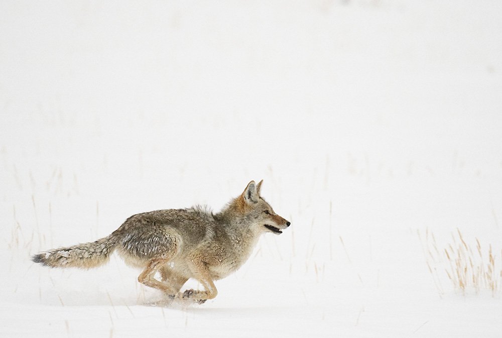 Photograph by PRINCE ELEAZER