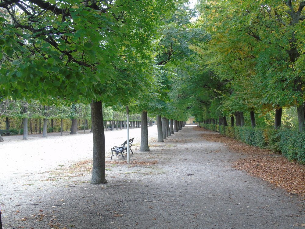 Осенний венский парк