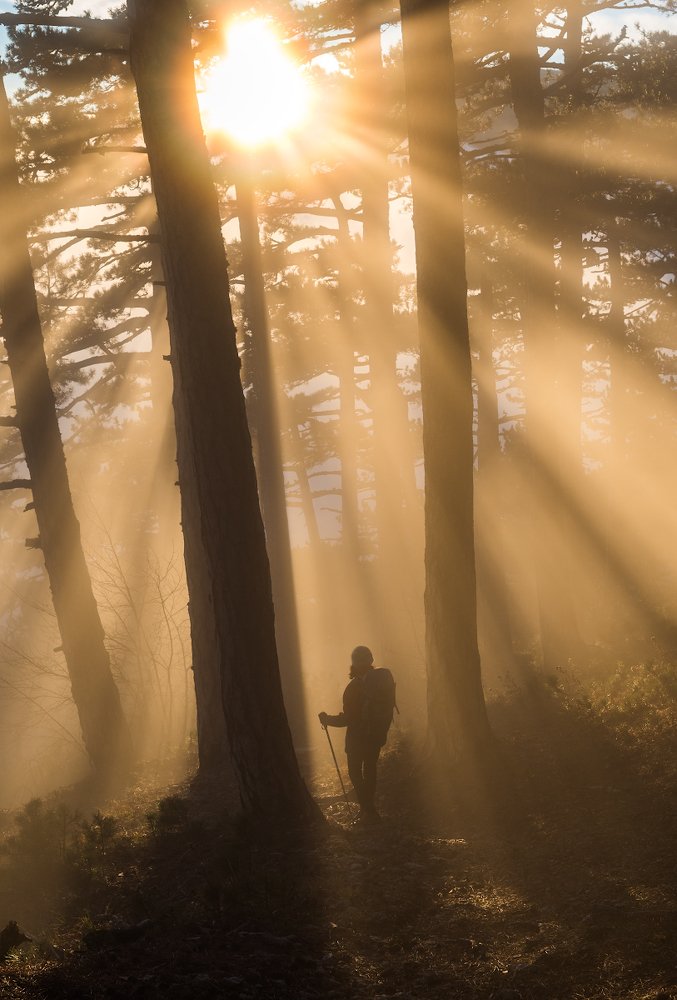 Золотой туман