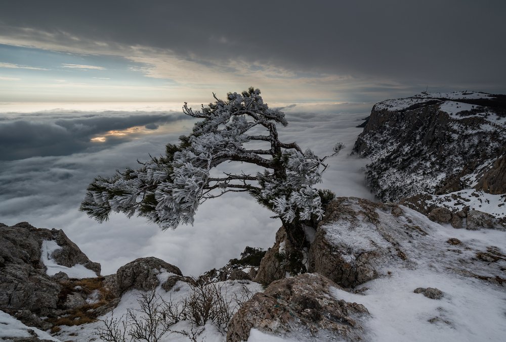 Битва за жизнь