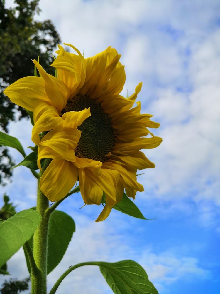 Photograph by Анна Голенева