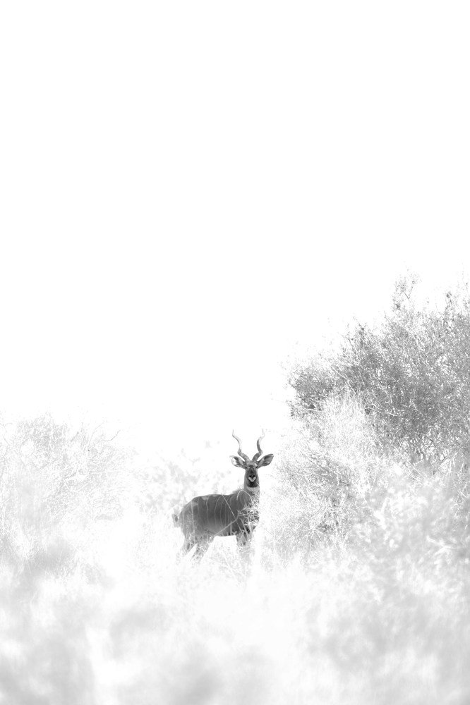 Фотография автора Sudipta Chakraborty