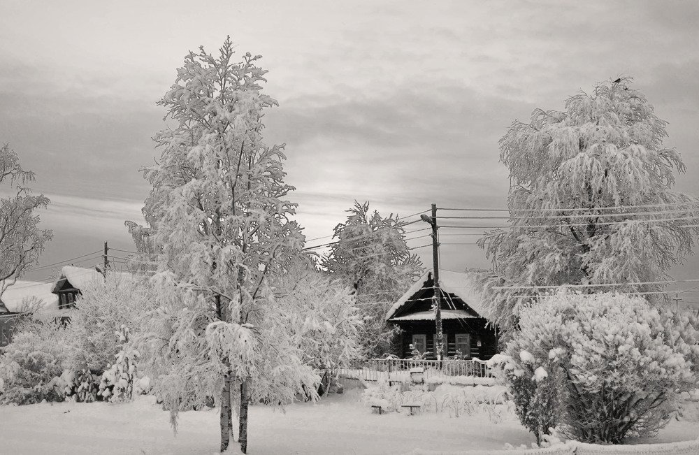 Photograph by Соколова Елена