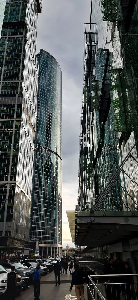 Стеклянные джунгли.