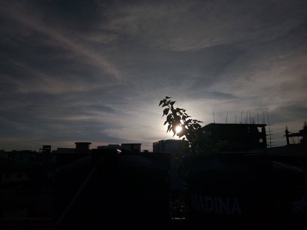 Photograph by Munna Zaved