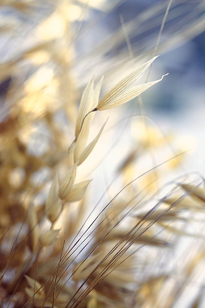 Photograph by Екатерина Бокова