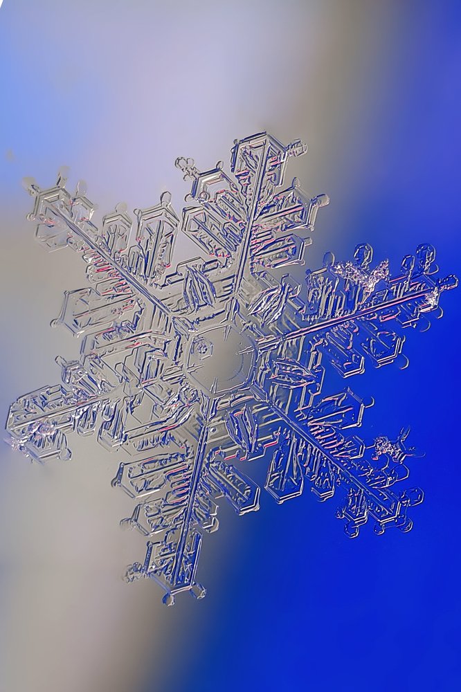 Photograph by Алексей Козлов