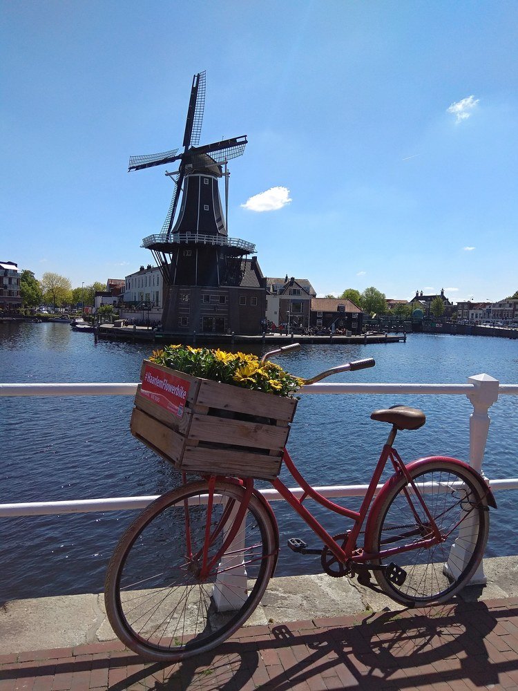 Photograph by Инна Неуступова