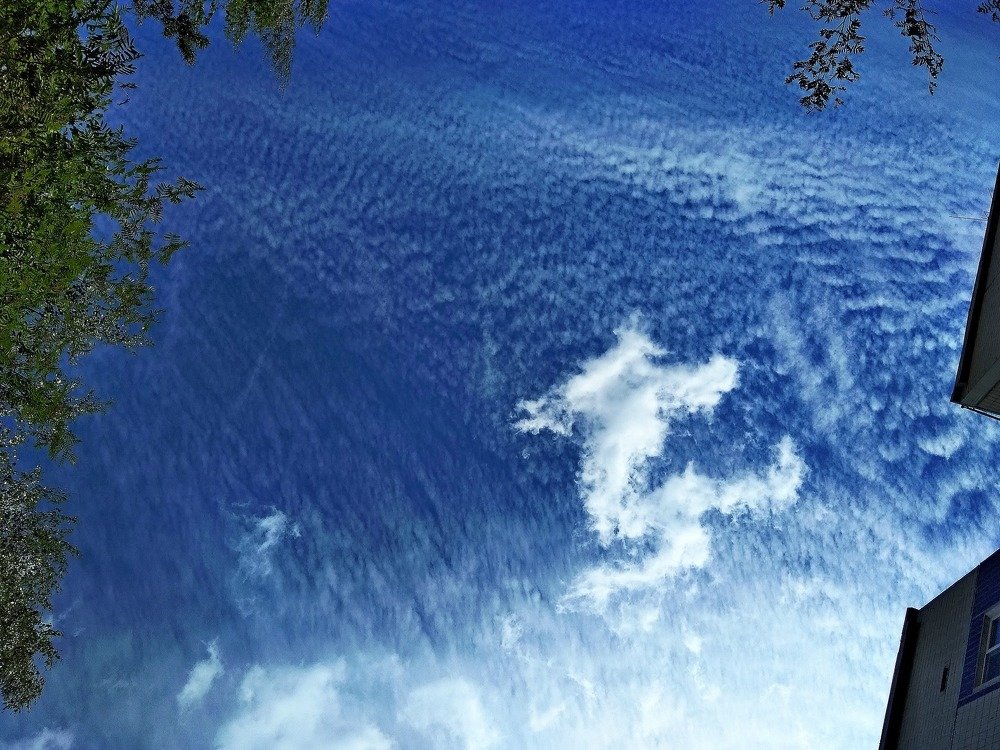 Photograph by Галина Гончарова