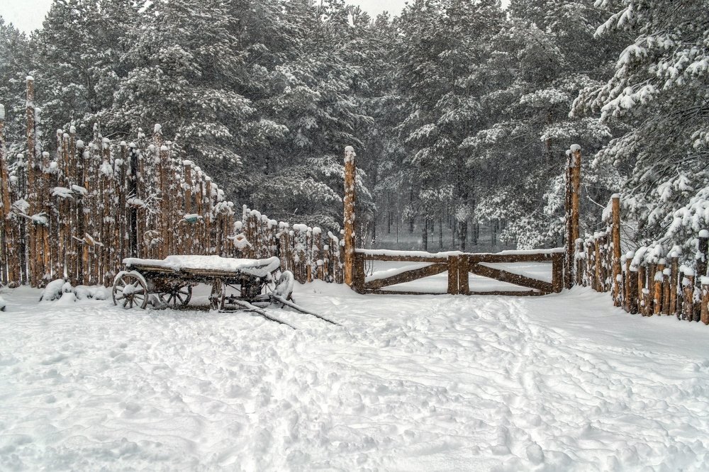 Зимний пейзаж