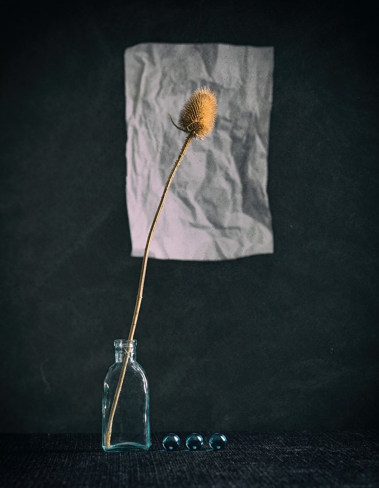 Фотография автора Refat Mamutov